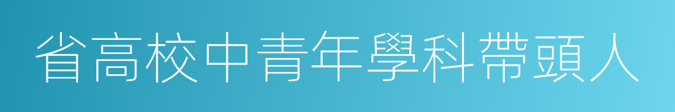 省高校中青年學科帶頭人的同義詞