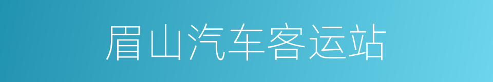 眉山汽车客运站的同义词