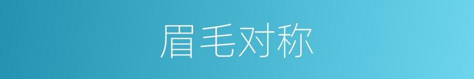 眉毛对称的同义词