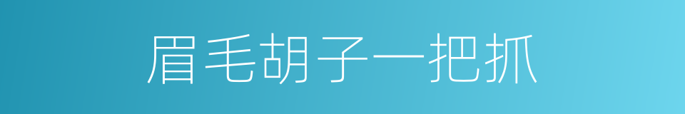 眉毛胡子一把抓的意思