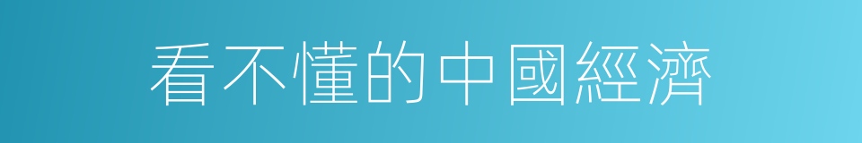 看不懂的中國經濟的同義詞