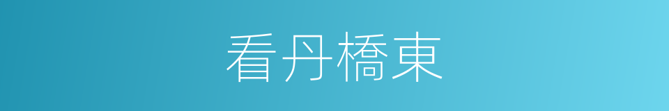 看丹橋東的同義詞