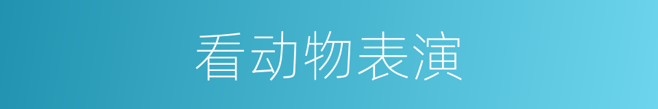 看动物表演的同义词