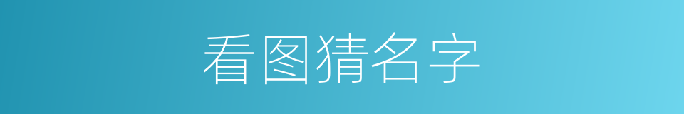 看图猜名字的同义词