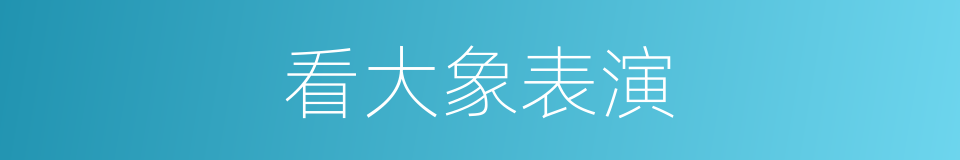 看大象表演的同义词