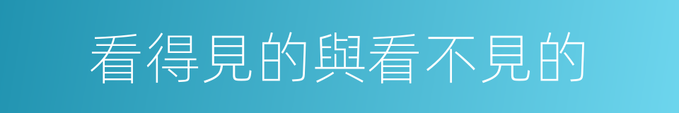 看得見的與看不見的的同義詞