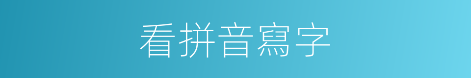 看拼音寫字的同義詞