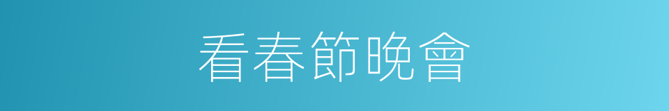 看春節晚會的同義詞