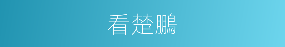 看楚鵬的同義詞