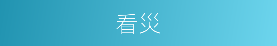 看災的同義詞