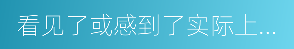 看见了或感到了实际上不存在的东西的同义词