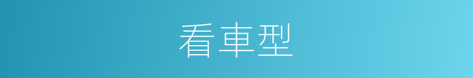 看車型的同義詞