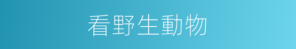 看野生動物的同義詞