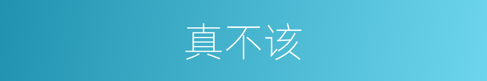 真不该的同义词