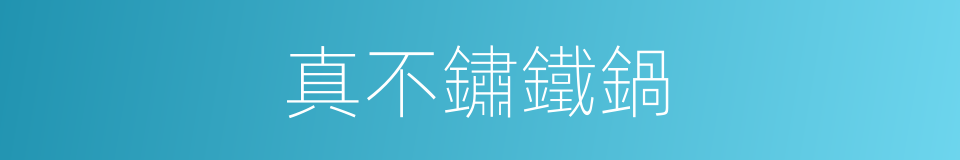 真不鏽鐵鍋的同義詞