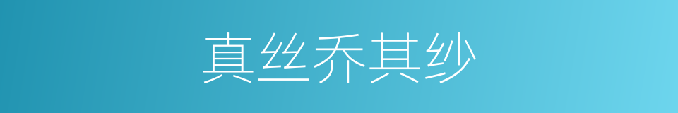 真丝乔其纱的同义词