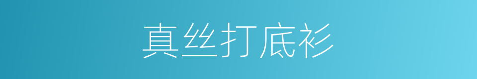 真丝打底衫的同义词