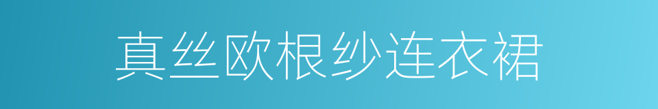 真丝欧根纱连衣裙的同义词