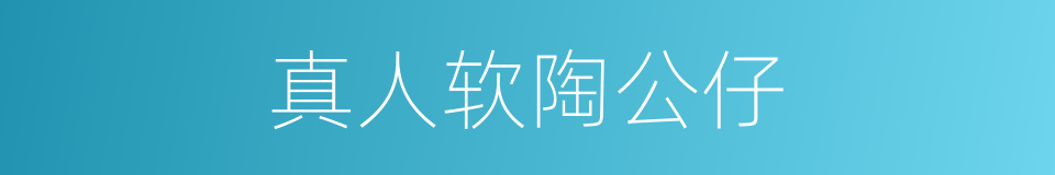 真人软陶公仔的同义词