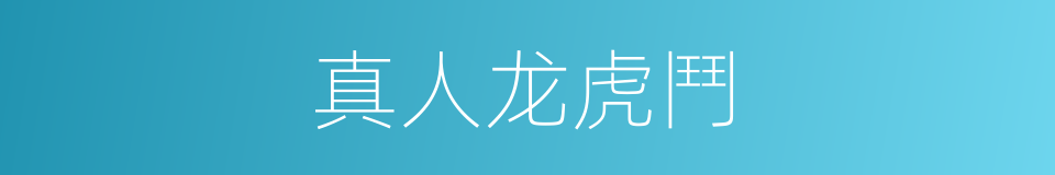 真人龙虎鬥的同義詞