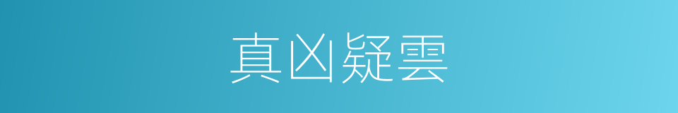 真凶疑雲的同義詞