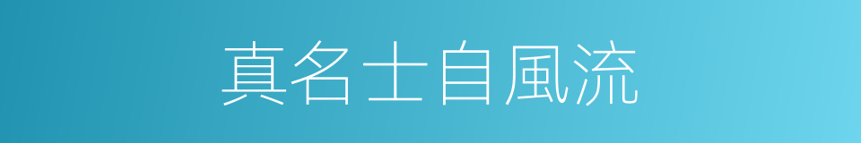 真名士自風流的同義詞