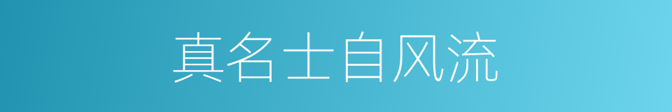 真名士自风流的同义词