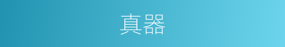 真器的同义词
