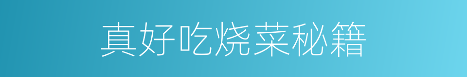 真好吃烧菜秘籍的同义词