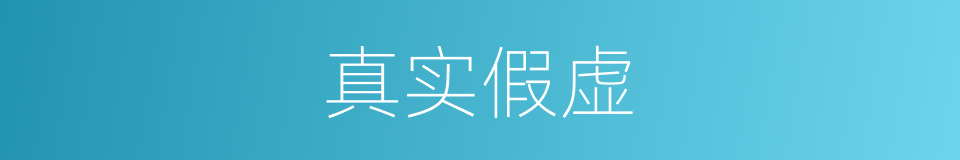真实假虚的同义词