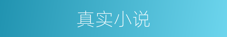 真实小说的同义词