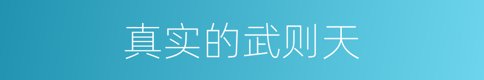 真实的武则天的同义词