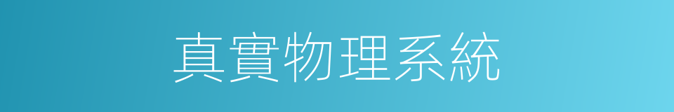 真實物理系統的同義詞