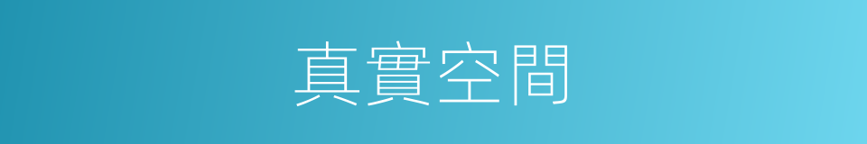 真實空間的同義詞