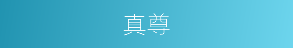 真尊的同义词