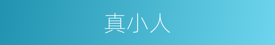 真小人的意思