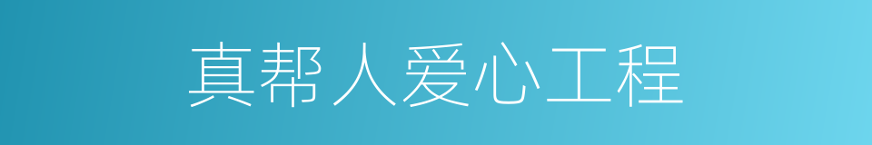真帮人爱心工程的同义词
