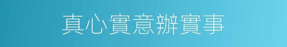 真心實意辦實事的同義詞