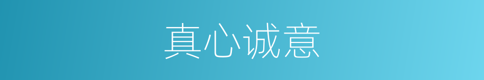 真心诚意的意思