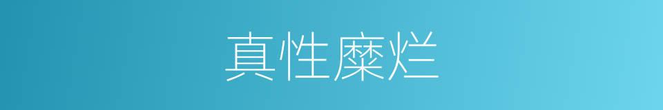 真性糜烂的同义词