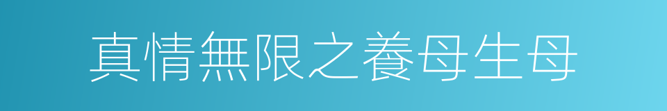 真情無限之養母生母的同義詞