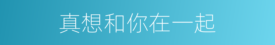 真想和你在一起的同义词