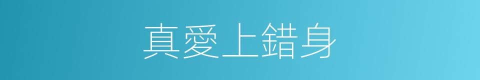 真愛上錯身的同義詞
