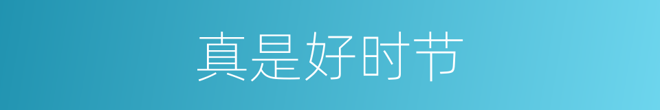 真是好时节的同义词
