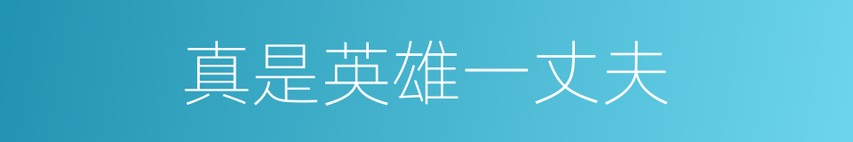 真是英雄一丈夫的同义词