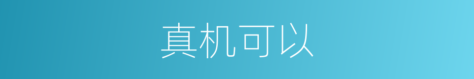 真机可以的意思