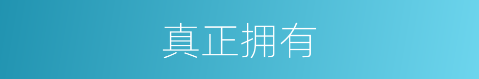 真正拥有的同义词