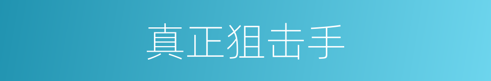 真正狙击手的同义词