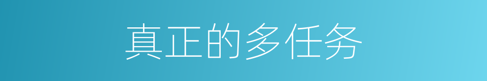 真正的多任务的同义词