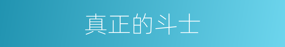 真正的斗士的同义词